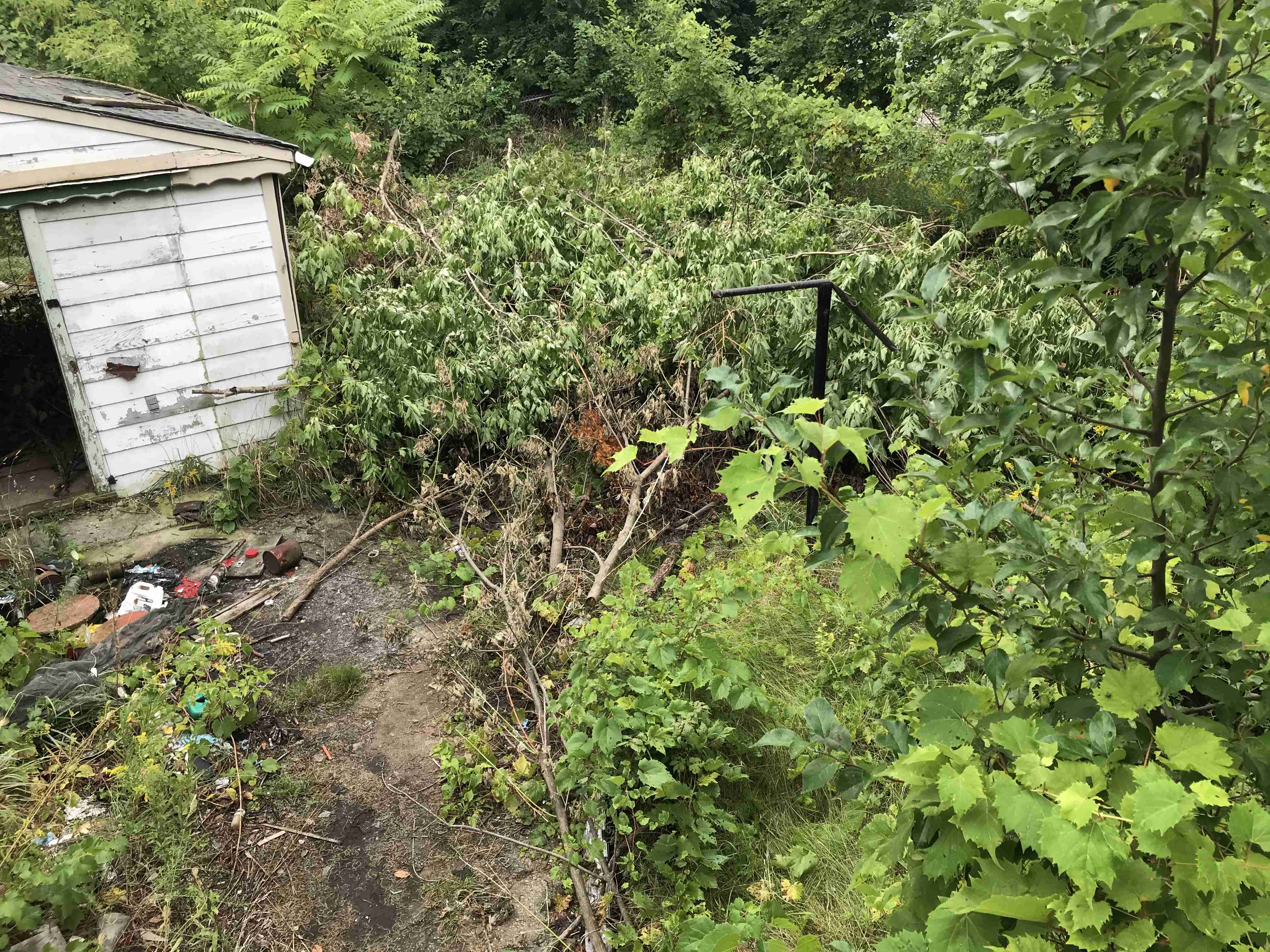 Photo Sep 09, 11 14 13 AM.jpg